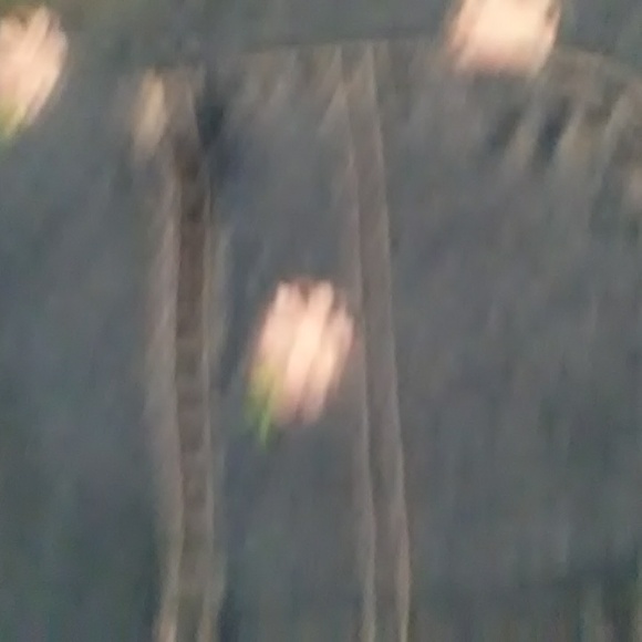 Girl's Denim Overall Shorts - Picture 4 of 4